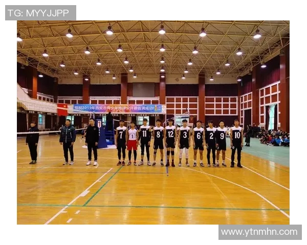 与张秀英对话探讨她的排球生涯与成长历程