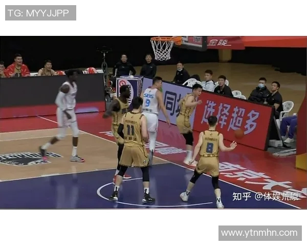 南京篮球队的节奏解析：深度剖析球队战术与比赛风格的背后秘密