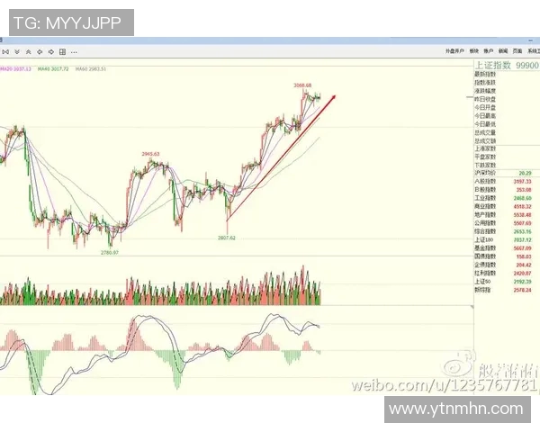 成都羽毛球队防守策略分析与比赛表现评估探讨