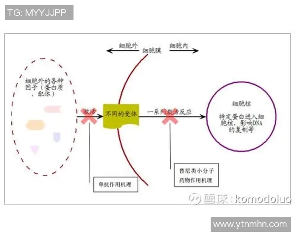 重庆足球队的战术意识与团队协作探讨及其对未来发展的影响分析 重庆足球队的战术意识与团队协作探讨及其对未来发展的影响分析