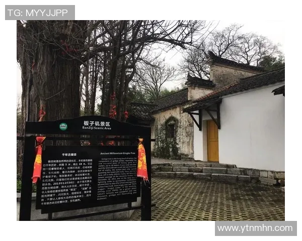 李禄传奇：从平民到权臣的奋斗历程与历史影响解析