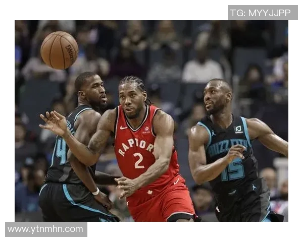 猛龙与黄蜂历史交锋记录分析及战绩对比探讨