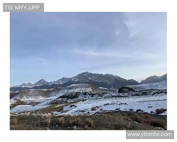 石家庄永昌与天山雪豹激战正酣谁能笑到最后争夺胜利荣耀