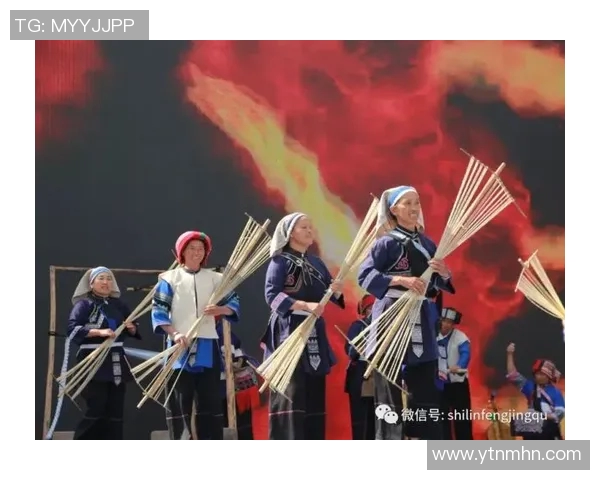 韩国与波黑的激烈对决带来的精彩瞬间与深刻启示