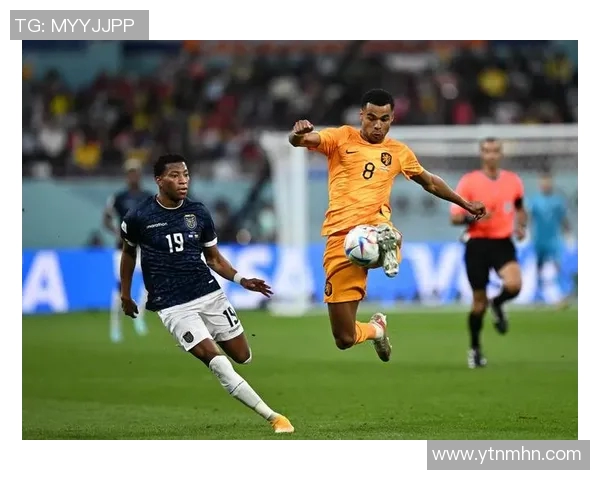 加克波：从新星崛起到足球巨星的辉煌之路与未来展望