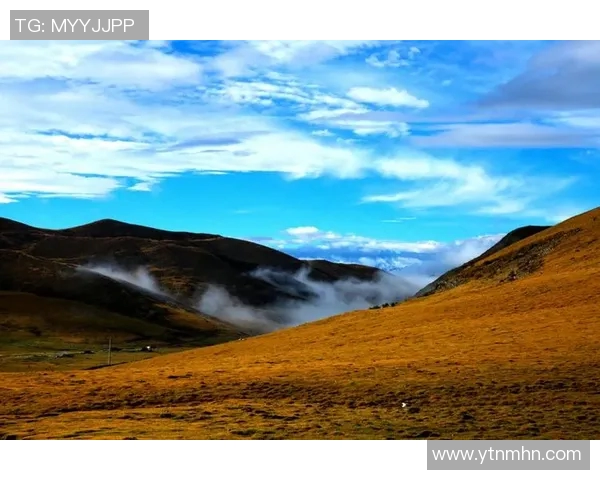 萨林杰的文学世界探索与心灵旅程：从孤独到共鸣的深度剖析