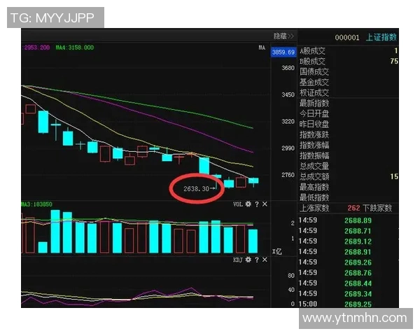 中国与委内瑞拉篮球比赛分析大小分走势及预测策略探讨