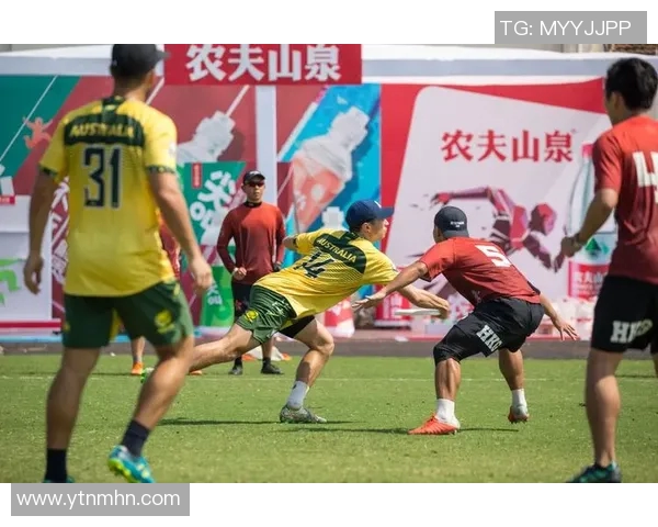 飞盘战术解析杭州飞盘队如何构建高效进攻体系与战术配合MBA