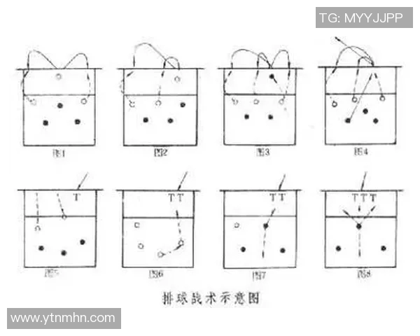 重庆排球队战术表现深度分析及其对比赛结果的影响探讨