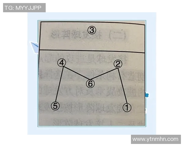 北京排球队防守策略揭秘深度解析排球战术与团队协作